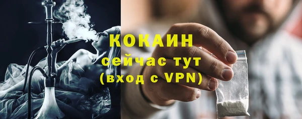 сатива Коряжма