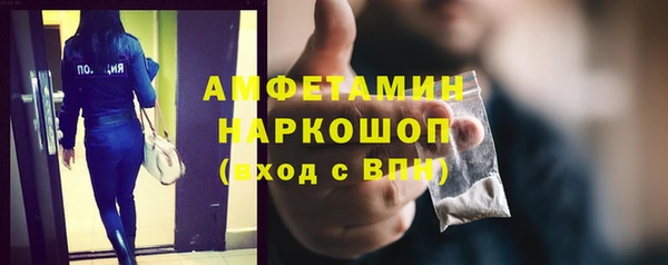 сатива Коряжма