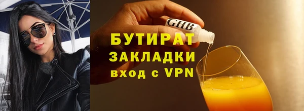 сатива Коряжма