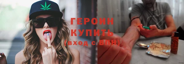 сатива Коряжма