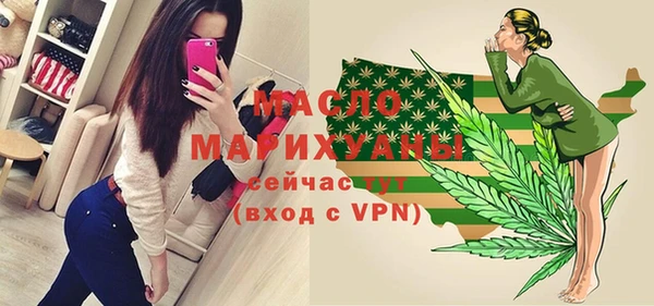 сатива Коряжма