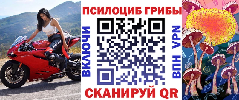 Псилоцибиновые грибы мицелий  сколько стоит  Менделеевск 