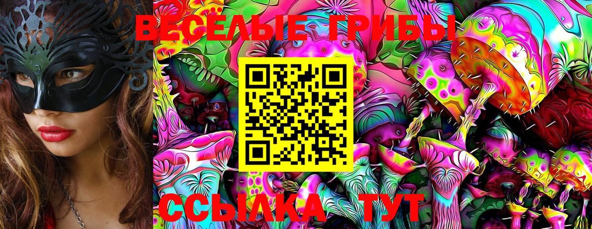 Галлюциногенные грибы MAGIC MUSHROOMS  Вход с VPN  Менделеевск 